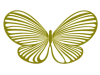 dalilatorgallogo